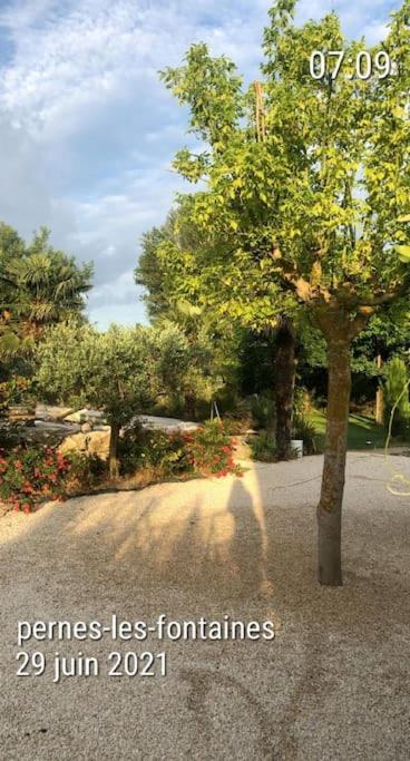 La Provence Avec Piscine Privative En Campagne Apartman Pernes-les-Fontaines Kültér fotó